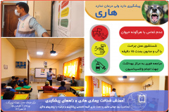 گروه بیماریهای واگیر