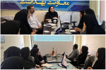 چهارمین کمیته تخصصی معاونت بهداشت در حوزه جوانی جمعیت برگزار شد