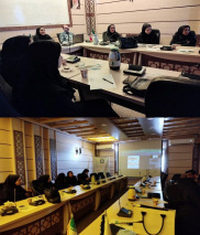 شرکت در وبینار وزارتی بحران