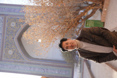 بازدید از مجموعه شیخ احمد جامی