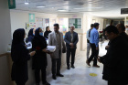 تجلیل و قدردانی از کادر درمان شهرستان تربت جام