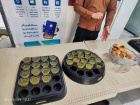 برپایی ایستگاه پذیرایی صمیمانه در دانشکده علوم پزشکی تربت‌جام