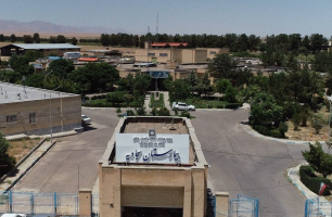 بهبودی ۹۶۷ بیمار کرونایی طی مردادماه ۱۴۰۰