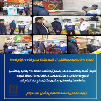 تعداد ۸۶۱ بازدید بهداشتی  از  شهرستان صالح آباد در ایام نوروز