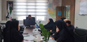 برگزاری جلسه کمیته فرعی خدمات بهداشتی و درمانی با محوریت "سرطان های شایع و کلینیک دیابت"