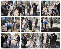 *مراسم درختکاری در دانشکده علوم پزشکی تربت جام برگزار شد*