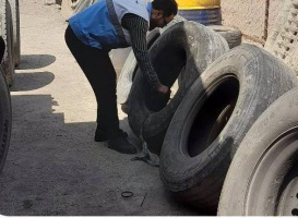 تله گذاری و مراقبت حشره شناسی پشه آئدس در ۸ نقطه از مناطق شهری تحت پوشش معاونت بهداشت و پایانه بار