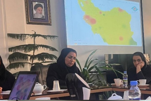 اولویت اول سلامت روان: استانداری خراسان رضوی میزبان کارگروه ویژه اجرای سند ملی پیشگیری از خودکشی