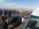 فوت یک نفر در روستای مومن آباد تربت جام بر اثر غرق شدن در استخر کشاورزی