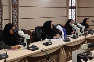 برگزاری کارگاه بازآموزی و اعتبار سنجی تشخیص میکروسکوپی مالاریا در معاونت بهداشت تربت جام