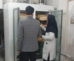 بازدید معاونت غذا و دارو تربت جام  از واحد تولیدی نان