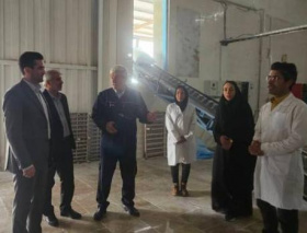 تاکید بر حمایت از صنایع غذایی برای ارتقای سلامت عمومی در بازدید رئیس دانشگاه علوم پزشکی تربت‌جام از کارخانه آرد