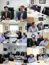 بررسی آخرین اقدامات اجرایی طرح پزشک خانواده و نظام ارجاع در تربت‌جام؛ تأکید بر تقویت زیرساخت‌ها و اطلاع‌رسانی عمومی